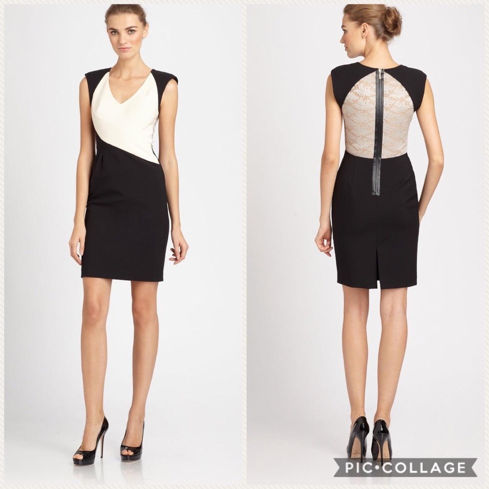 Black Halo Jagger Colorblock Dress Size 2